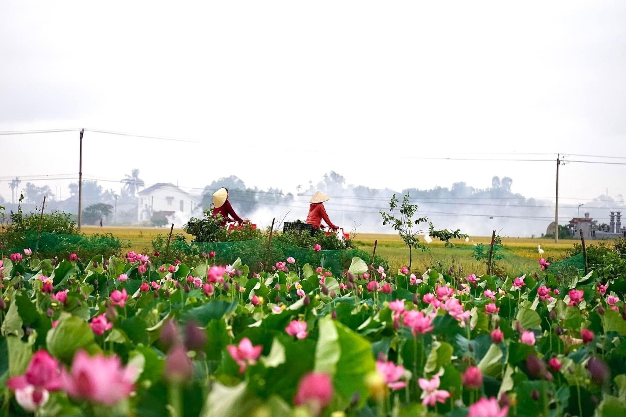 The historic city of Huế, Vietnam — ancestral home of the Ha Thuc family